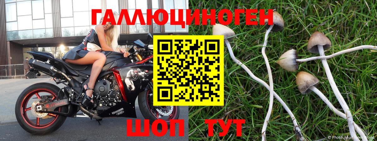 Галлюциногенные грибы Cubensis  Вход с VPN  Нижний Новгород 